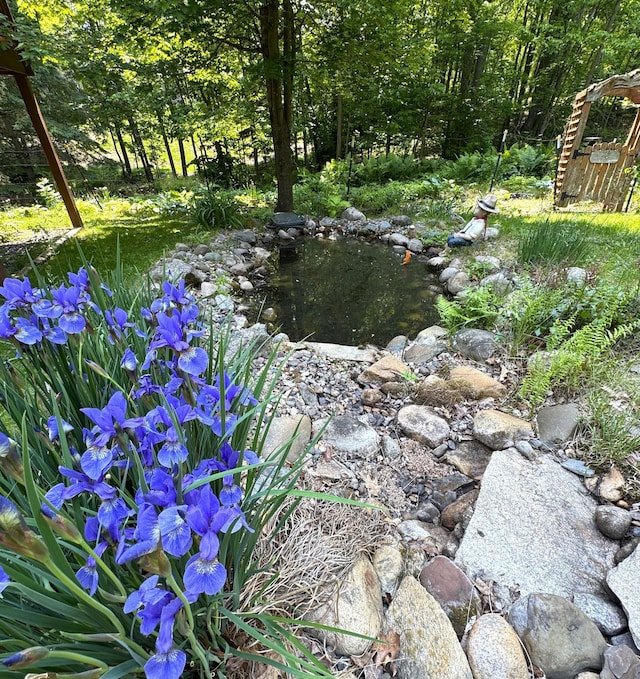 27315 Stark Lake Rd, Aitkin, MN 56431 - view of yard