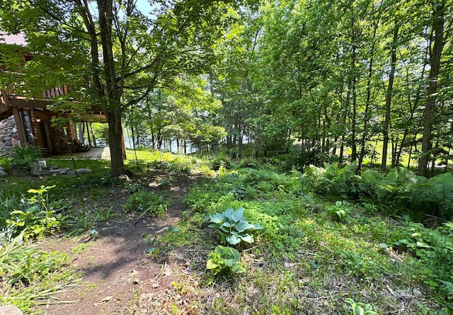 27315 Stark Lake Rd, Aitkin, MN 56431 - view of local wilderness