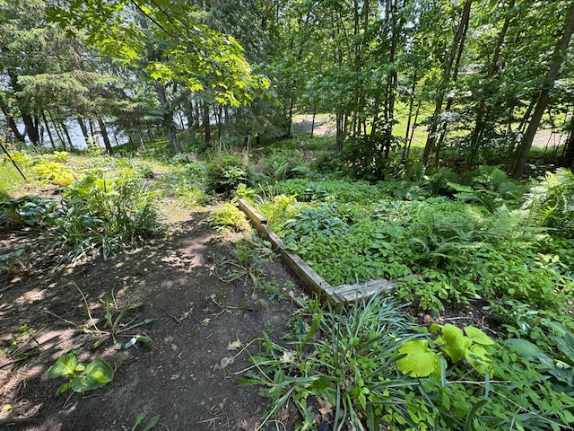 27315 Stark Lake Rd, Aitkin, MN 56431 - view of nature