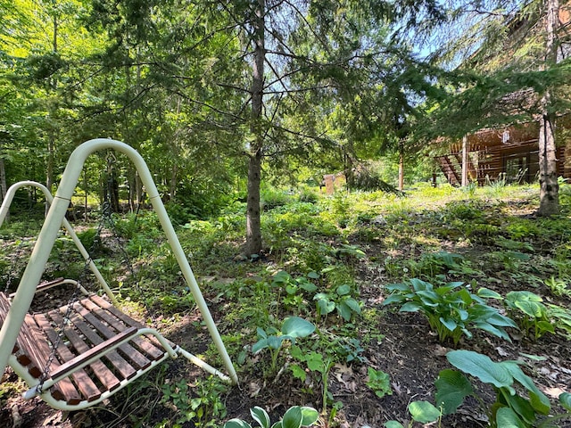 27315 Stark Lake Rd, Aitkin, MN 56431 - view of yard