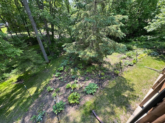 27315 Stark Lake Rd, Aitkin, MN 56431 - view of yard