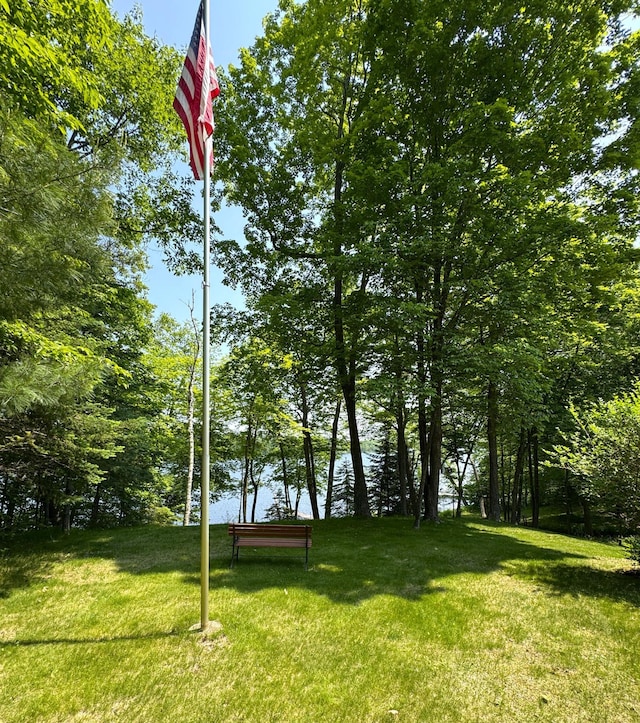 27315 Stark Lake Rd, Aitkin, MN 56431 - view of grassy yard with a water view