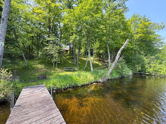 27315 Stark Lake Rd, Aitkin, MN 56431 - view of dock area