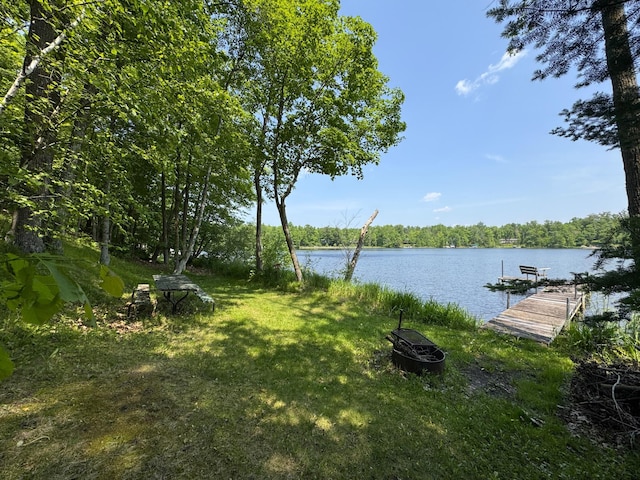 27315 Stark Lake Rd, Aitkin, MN 56431 - view of yard featuring a dock and a water view