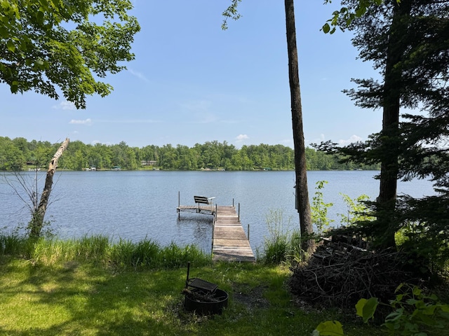 27315 Stark Lake Rd, Aitkin, MN 56431 - dock featuring a water view and a wooded view