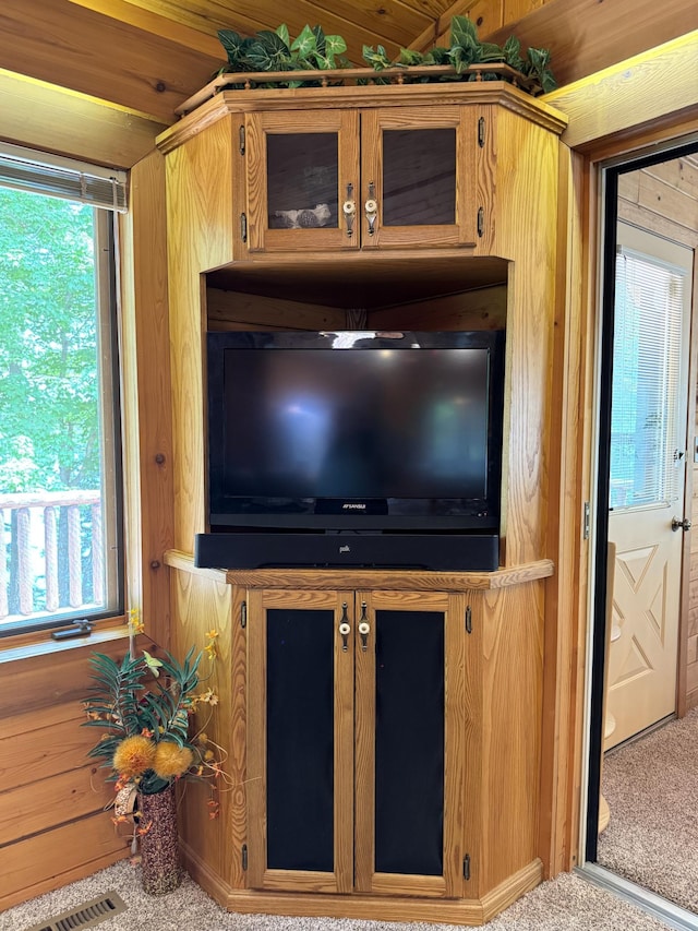 27315 Stark Lake Rd, Aitkin, MN 56431 - detailed view of carpet floors