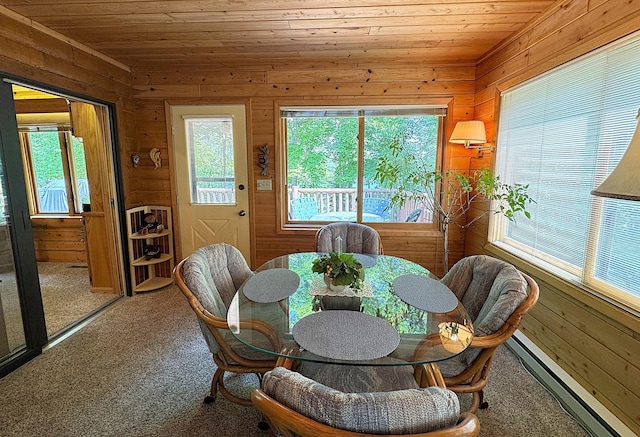 27315 Stark Lake Rd, Aitkin, MN 56431 - carpeted dining room featuring a baseboard heating unit, wooden ceiling, and wooden walls