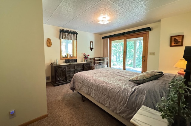 27315 Stark Lake Rd, Aitkin, MN 56431 - bedroom with access to outside, multiple windows, a drop ceiling, and carpet floors