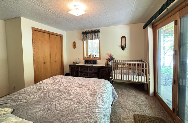 27315 Stark Lake Rd, Aitkin, MN 56431 - bedroom with carpet and a closet