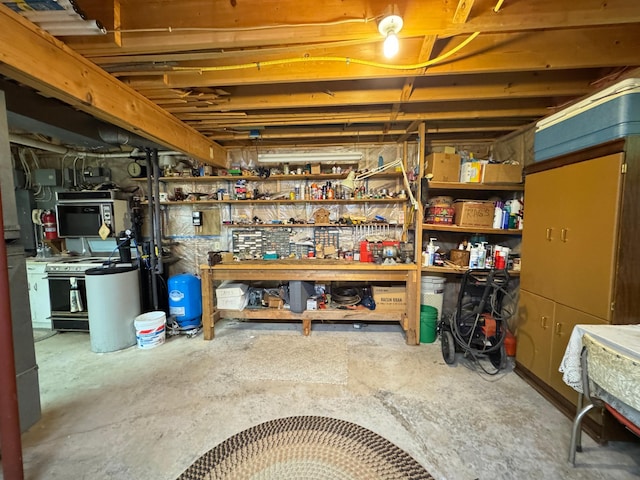 27315 Stark Lake Rd, Aitkin, MN 56431 - unfinished basement featuring a workshop area, a water pressure tank, electric panel, and a water softener system