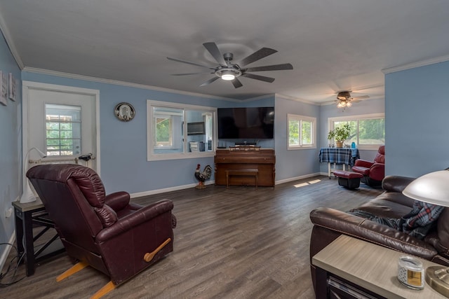 43867 County Road 15, New Sweden Twp, MN 56074 - living area with healthy amount of natural light, a ceiling fan, dark wood-type flooring, and crown molding