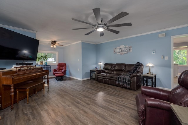 43867 County Road 15, New Sweden Twp, MN 56074 - living area featuring ceiling fan, wood finished floors, healthy amount of natural light, and ornamental molding