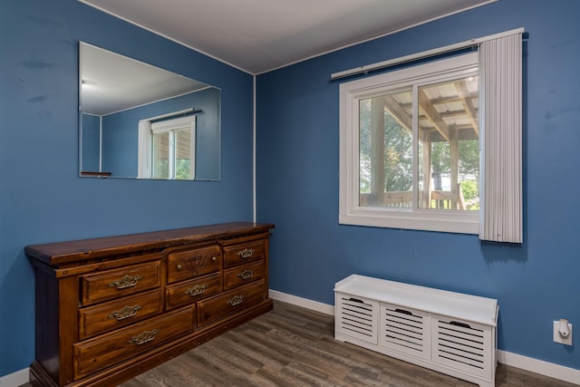 43867 County Road 15, New Sweden Twp, MN 56074 - bedroom featuring dark wood-type flooring
