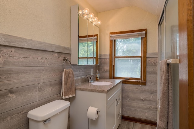 43867 County Road 15, New Sweden Twp, MN 56074 - bathroom with vaulted ceiling, vanity, wood finished floors, wainscoting, and tile walls