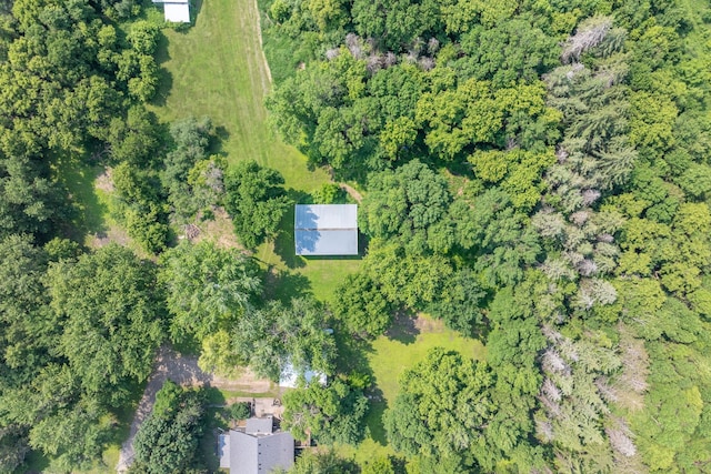 43867 County Road 15, New Sweden Twp, MN 56074 - aerial view of property and surrounding area