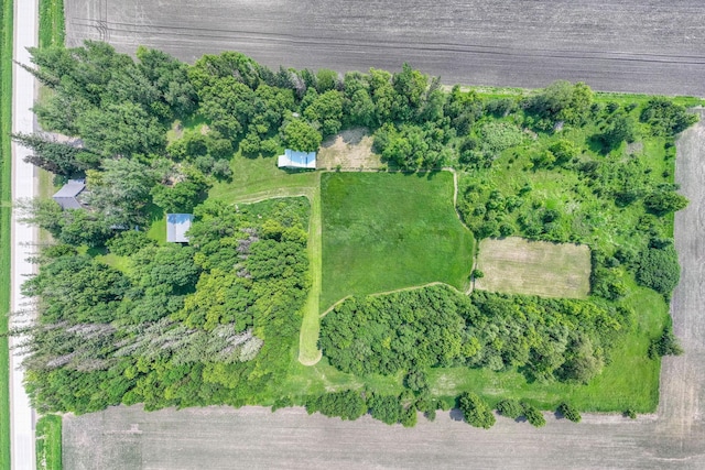 43867 County Road 15, New Sweden Twp, MN 56074 - bird's eye view