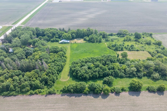 43867 County Road 15, New Sweden Twp, MN 56074 - view of rural area
