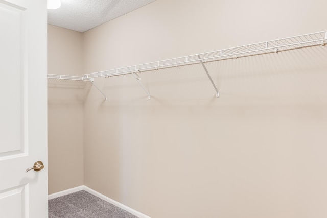 10329 Kentucky Ave N, Brooklyn Park, MN 55445 - spacious closet featuring carpet