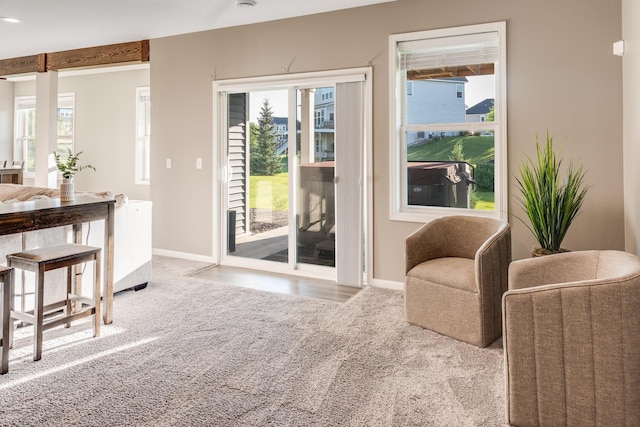10329 Kentucky Ave N, Brooklyn Park, MN 55445 - sitting room with carpet flooring and baseboards