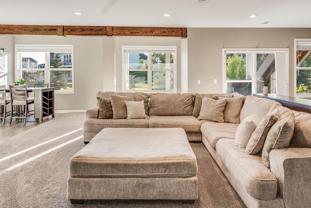 10329 Kentucky Ave N, Brooklyn Park, MN 55445 - living area with recessed lighting, healthy amount of natural light, and carpet floors