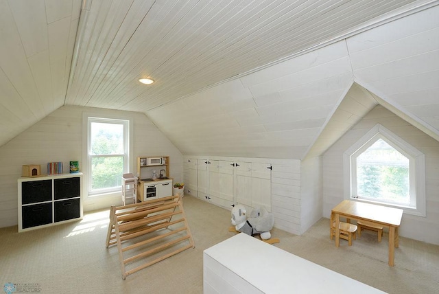 5560 County Road 3, Kindred, ND 58051 - additional living space featuring carpet flooring and vaulted ceiling