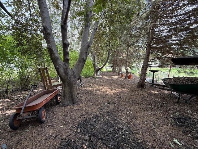 521 Kroshus Dr, Dilworth, MN 56529 - view of yard