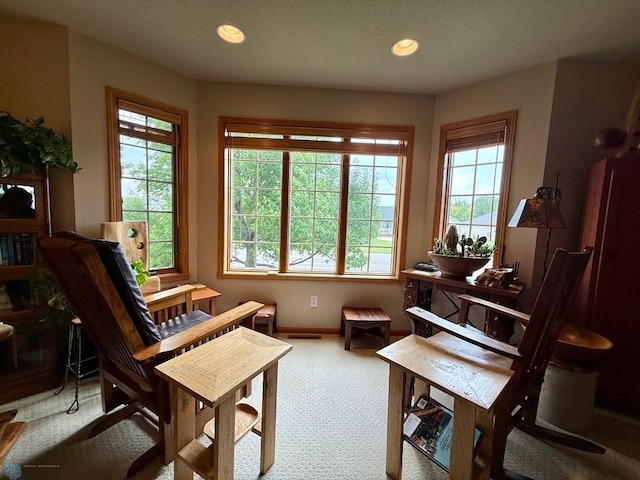 521 Kroshus Dr, Dilworth, MN 56529 - sitting room with plenty of natural light, carpet flooring, baseboards, and recessed lighting