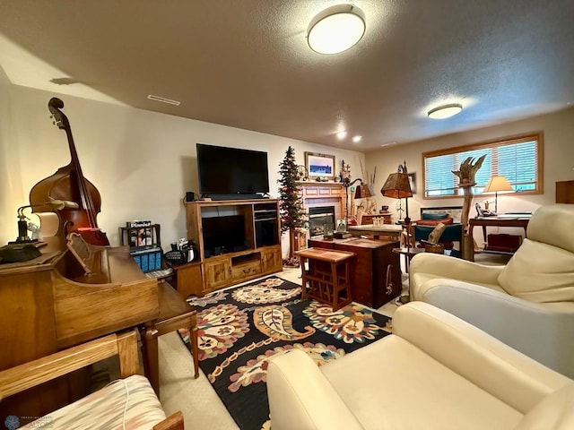 521 Kroshus Dr, Dilworth, MN 56529 - living room featuring a glass covered fireplace, a textured ceiling, and light colored carpet