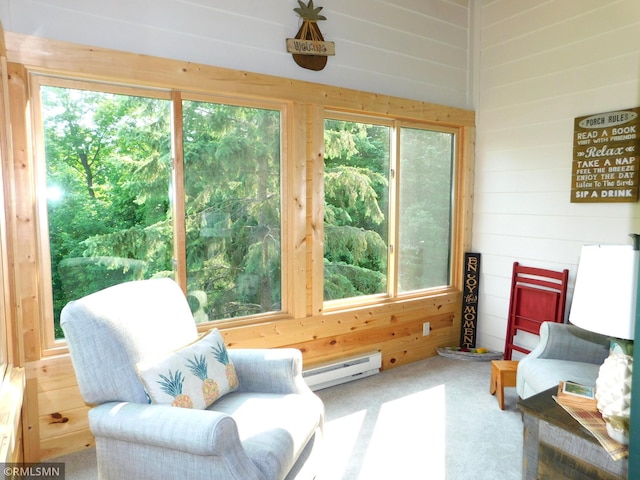 37760 Dove St Unit 14, Aitkin, MN 56431 - sunroom featuring baseboard heating and plenty of natural light