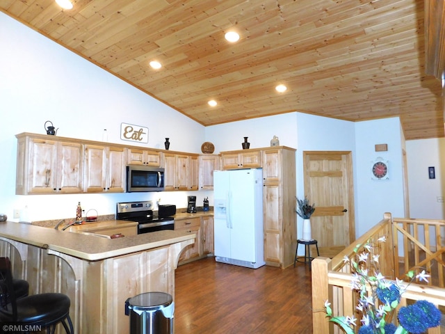 37760 Dove St Unit 14, Aitkin, MN 56431 - kitchen with wood ceiling, stainless steel appliances, a peninsula, dark wood-style floors, and lofted ceiling