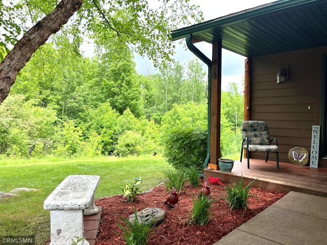 37760 Dove St Unit 14, Aitkin, MN 56431 - view of green lawn featuring a view of trees