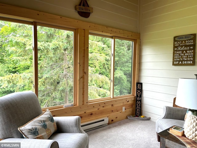 37760 Dove St Unit 14, Aitkin, MN 56431 - sunroom featuring a baseboard heating unit and plenty of natural light
