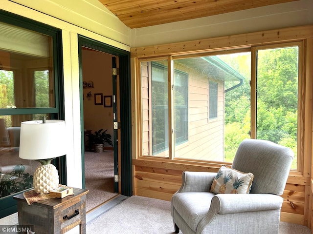 37760 Dove St Unit 14, Aitkin, MN 56431 - sunroom / solarium with healthy amount of natural light and lofted ceiling