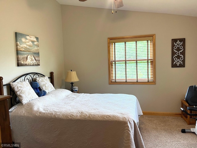 37760 Dove St Unit 14, Aitkin, MN 56431 - bedroom with carpet flooring and baseboards