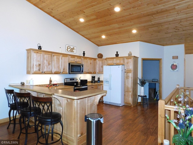 37760 Dove St Unit 14, Aitkin, MN 56431 - kitchen with stainless steel appliances, wooden ceiling, a peninsula, a kitchen bar, and dark wood-style floors