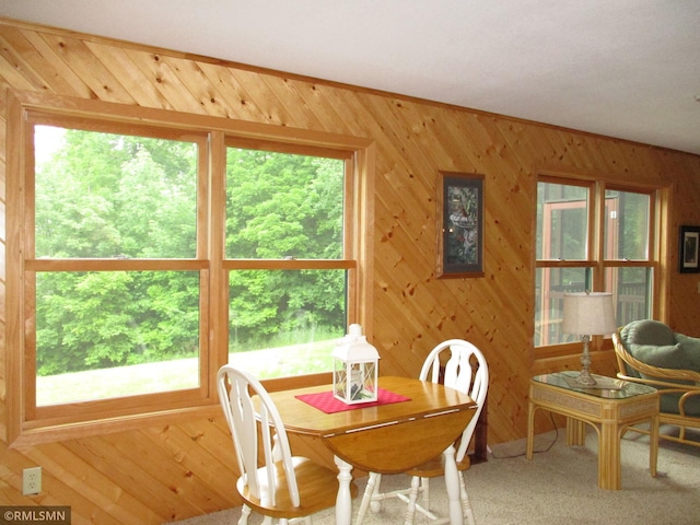 37760 Dove St Unit 14, Aitkin, MN 56431 - dining space with wood walls and carpet