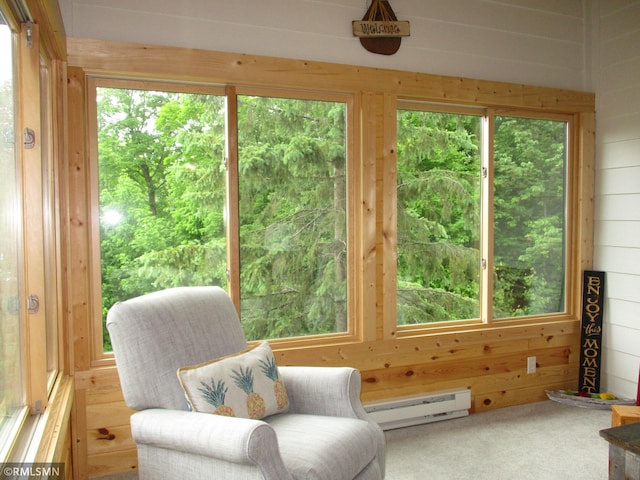 37760 Dove St Unit 14, Aitkin, MN 56431 - sunroom with a baseboard radiator and plenty of natural light