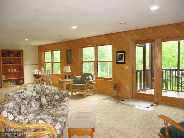 37760 Dove St Unit 14, Aitkin, MN 56431 - living area featuring carpet flooring, recessed lighting, and wood walls