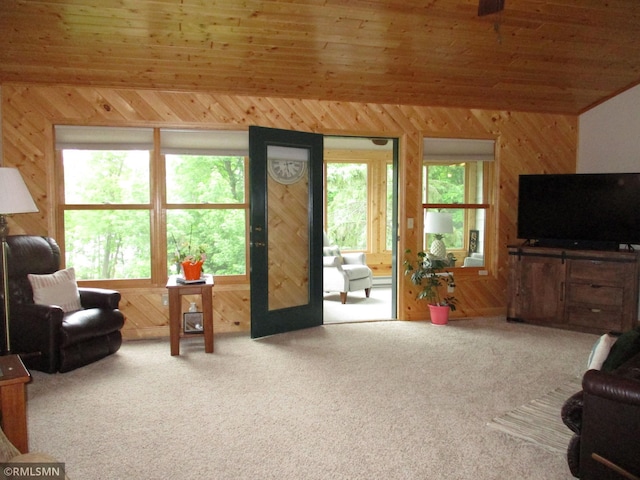 37760 Dove St Unit 14, Aitkin, MN 56431 - living room with wooden walls, carpet flooring, lofted ceiling, and wooden ceiling