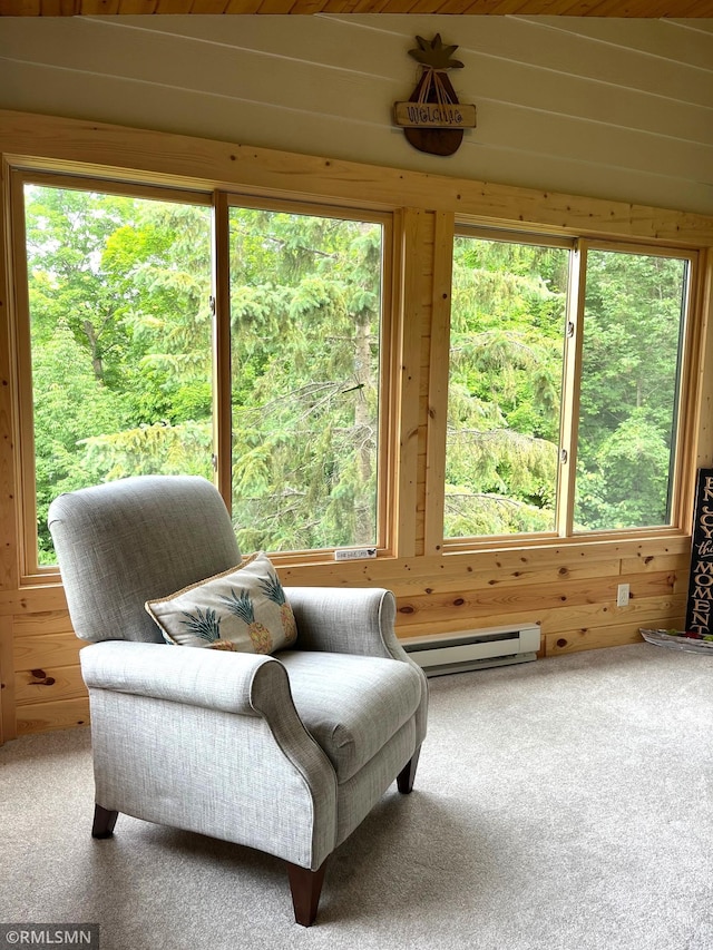37760 Dove St Unit 14, Aitkin, MN 56431 - sunroom / solarium featuring a baseboard heating unit