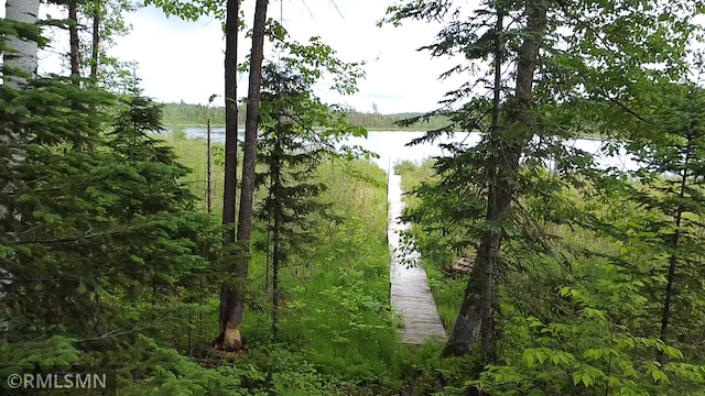 37760 Dove St Unit 14, Aitkin, MN 56431 - water view