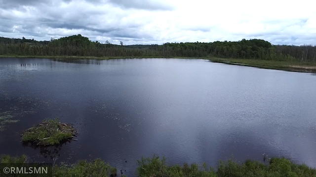 37760 Dove St Unit 14, Aitkin, MN 56431 - water view featuring a heavily wooded area