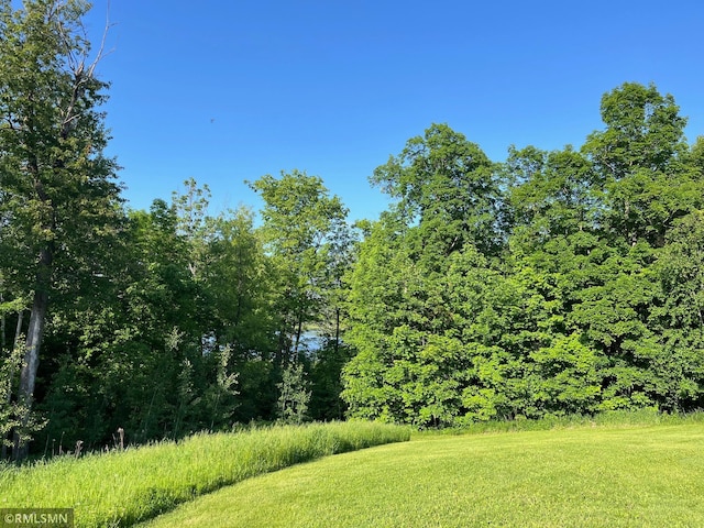 37760 Dove St Unit 14, Aitkin, MN 56431 - view of yard with a forest view