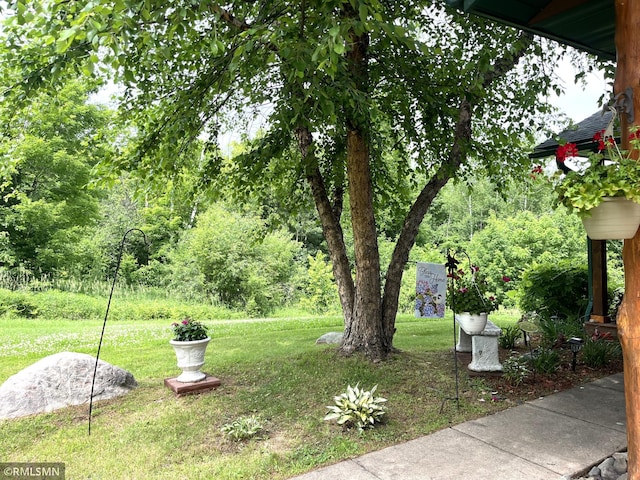 37760 Dove St Unit 14, Aitkin, MN 56431 - view of grassy yard