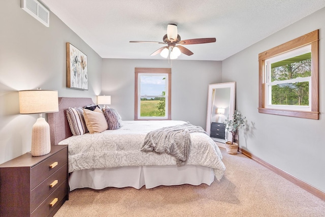 3546 230th St E, Prior Lake, MN 55372 - bedroom with light carpet, multiple windows, and a ceiling fan