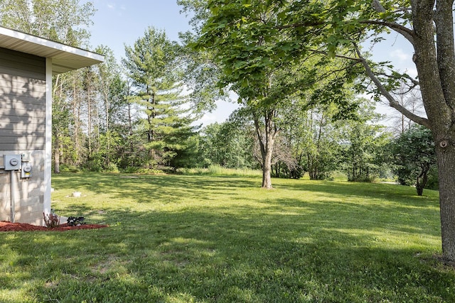 3546 230th St E, Prior Lake, MN 55372 - view of green lawn
