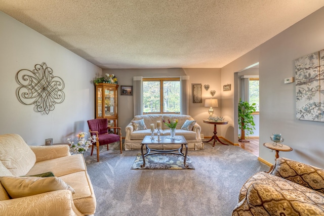 33240 Gary Dr, Grand Rapids, MN 55744 - living room with carpet flooring, a textured ceiling, and baseboards