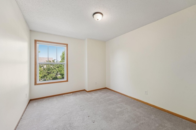 1741 Prescott Ln, Chaska, MN 55318 - empty room with light carpet, baseboards, and a textured ceiling