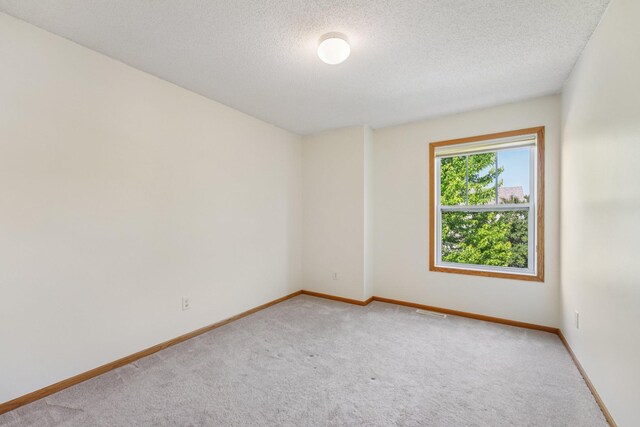 1741 Prescott Ln, Chaska, MN 55318 - spare room featuring light carpet, baseboards, and a textured ceiling