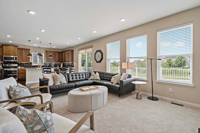 18939 Ibarra Trl, Lakeville, MN 55044 - photo 10